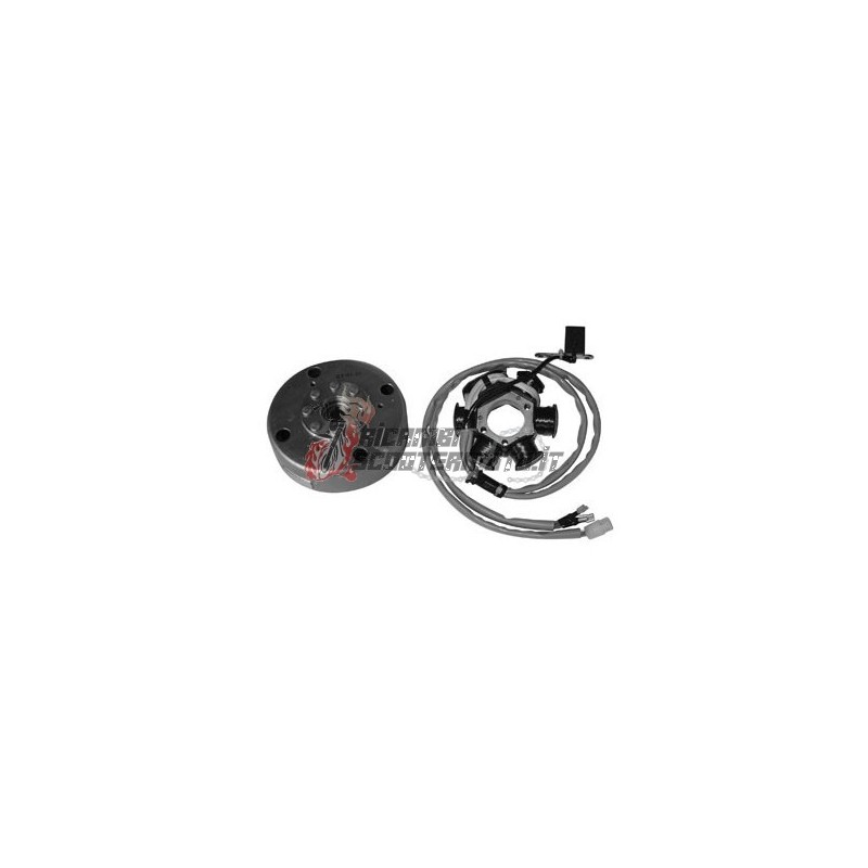 FLYWHEEL ROTOR STATOR GILERA Easy Moving 50 1995-1996 FLYWHEEL ROTOR STATOR GILERA Easy Moving 50 1995-1996