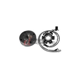 FLYWHEEL ROTOR STATOR PIAGGIO Free FL/FL2 DT 50 1995-1999