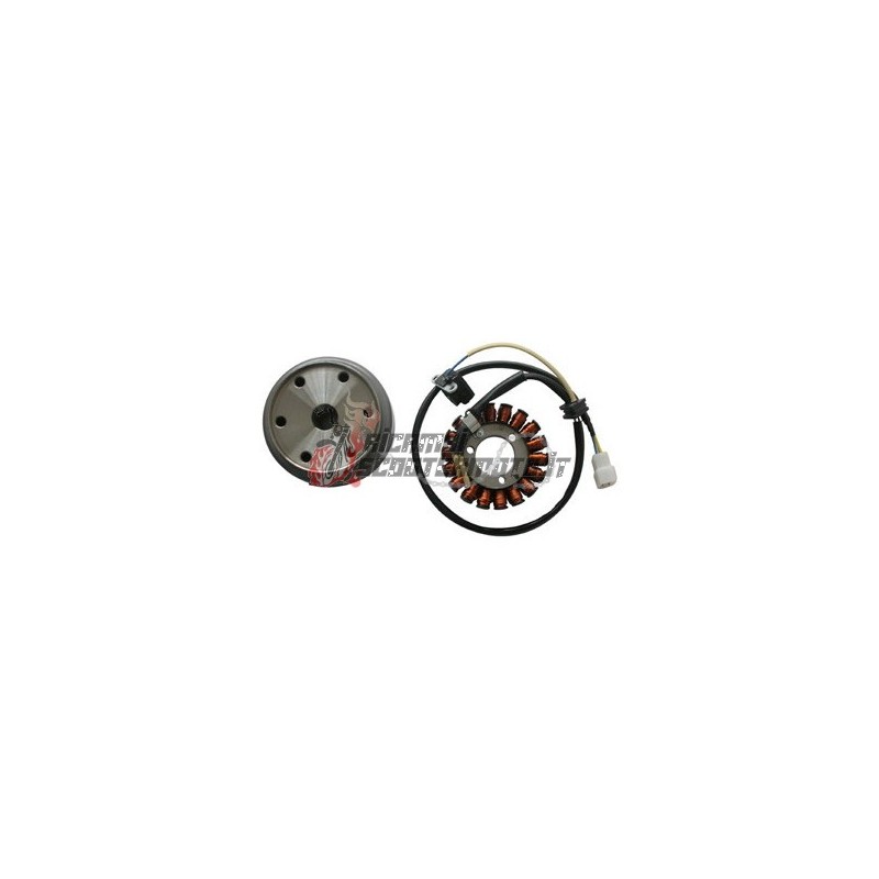 FLYWHEEL ROTOR STATOR APRILIA Scarabeo Light 4T 125 2007-2008 FLYWHEEL ROTOR STATOR APRILIA Scarabeo Light 4T 125 2007-2008