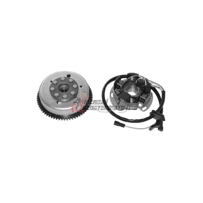 FLYWHEEL ROTOR STATOR DERBI GPR / GPR E2 50 2006-2009 FLYWHEEL ROTOR STATOR DERBI GPR / GPR E2 50 2006-2009