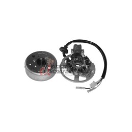FLYWHEEL ROTOR STATOR E-TON Beamer 2T 50 2000-2004