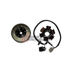 FLYWHEEL ROTOR STATOR PEUGEOT Jet C-Tech Carburatore C/CDI 50 2006-2009
