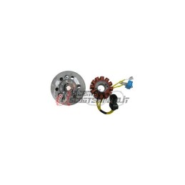 FLYWHEEL ROTOR STATOR GILERA Runner VXR 4T 200 2002-2006