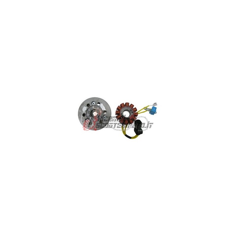 ESTATOR DEL ROTOR DEL VOLANTE GILERA Runner VXR 4T 200 2002-2006