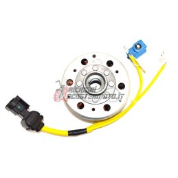 FLYWHEEL ROTOR STATOR PIAGGIO Beverly 125 2001-2003