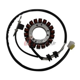 ESTATOR YAMAHA XVS Drag Star Classic 650 2004-2007