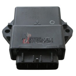 STEUERGERÄT YAMAHA YP Majesty / YP Majesty ABS 250 2002-2006