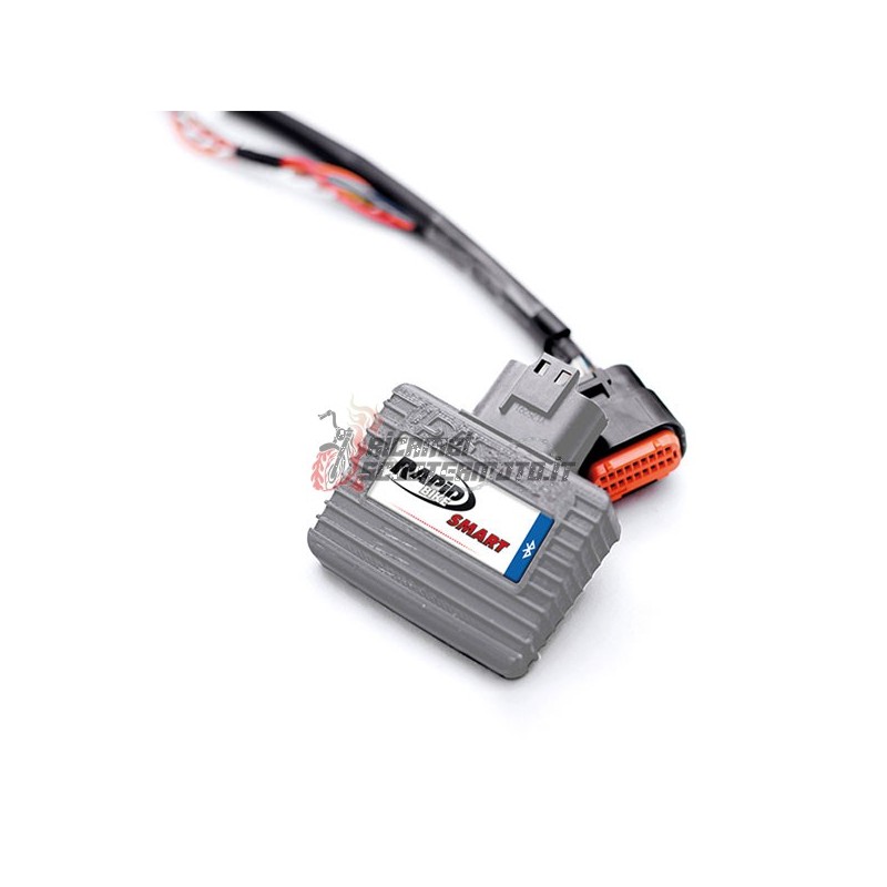 WIRING FOR CONTROL UNIT BMW M R 1000 2023-2024 K27-SMR-003A