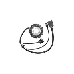 STATOR MALAGUTI Blog IE 125 2009-2010