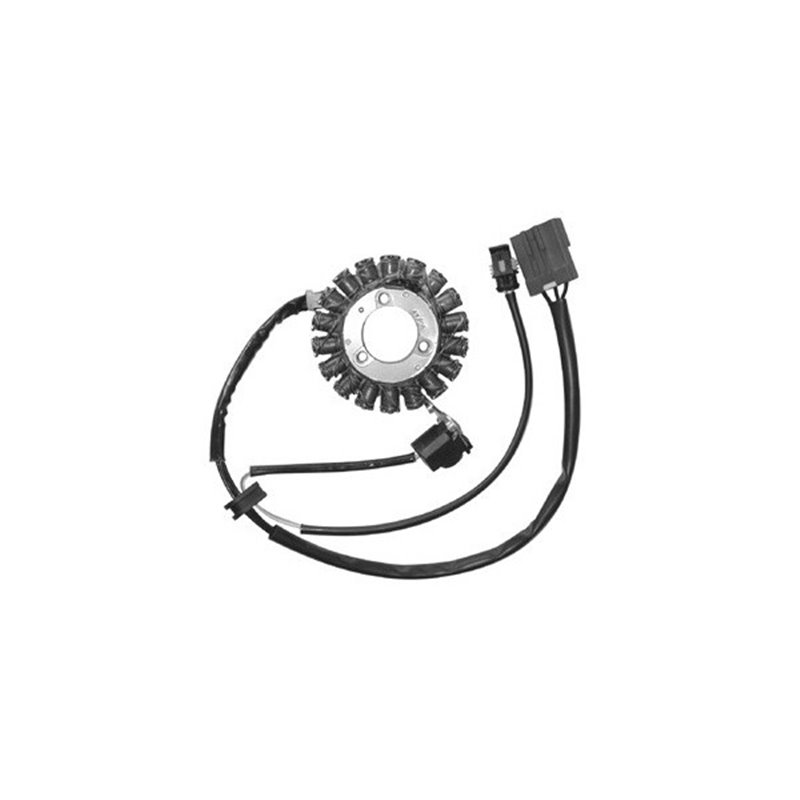 STATOR MALAGUTI Blog IE 125 2009-2010