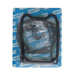 SERIE EMERY GILERA Fuoco IE 500 2007-2013