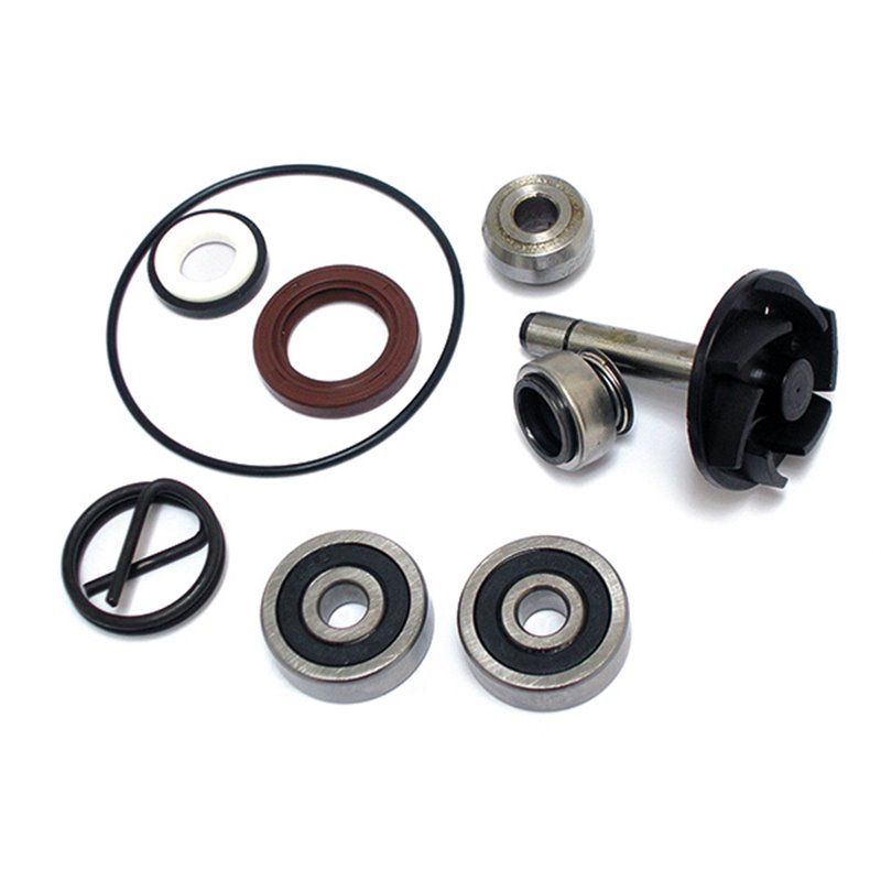 KIT DE RÉPARATION ET DE RÉVISION DE POMPE À EAU POUR SCOOTER APRILIA Atlantic 250 2003-2005