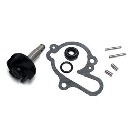KIT DE REPARACIÓN Y REVISIÓN DE BOMBA DE AGUA MALAGUTI NKD 50 2004-2004