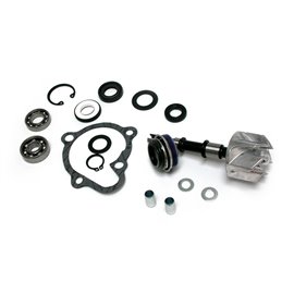 KIT DE REPARACIÓN Y REVISIÓN DE BOMBA DE AGUA PARA SCOOTER KYMCO People S 250 2006-2008