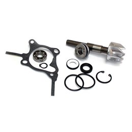 KIT DE RÉPARATION ET DE RÉVISION DE POMPE À EAU POUR SCOOTER PEUGEOT SV 250 2001-2005