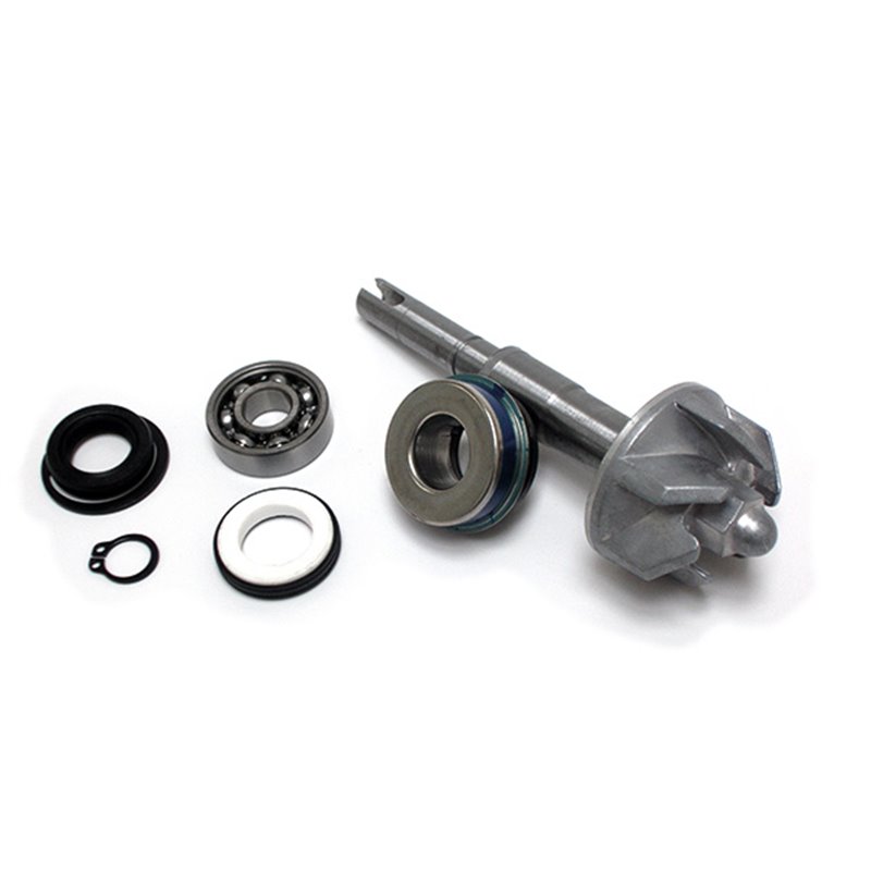 KIT DE RÉPARATION ET DE RÉVISION DE POMPE À EAU POUR SCOOTER HONDA FES Pantheon 125 2003-2006