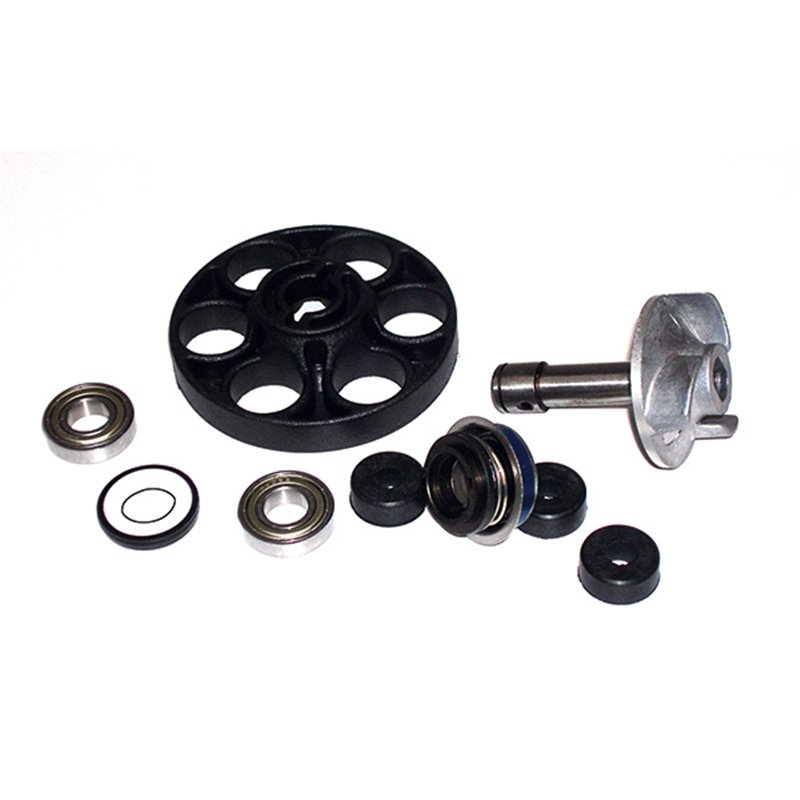 KIT DE RÉPARATION ET DE RÉVISION DE POMPE À EAU POUR SCOOTER APRILIA SR Ditech 50 2000-2004