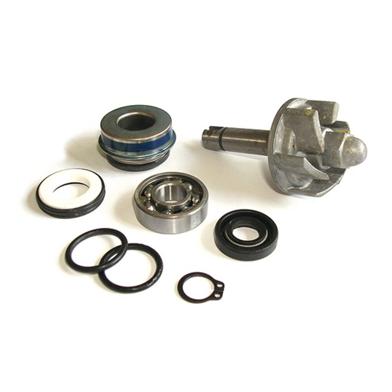 KIT DE RÉPARATION ET DE RÉVISION DE POMPE À EAU POUR SCOOTER APRILIA Leonardo / Leonardo ST 250 1999-2004