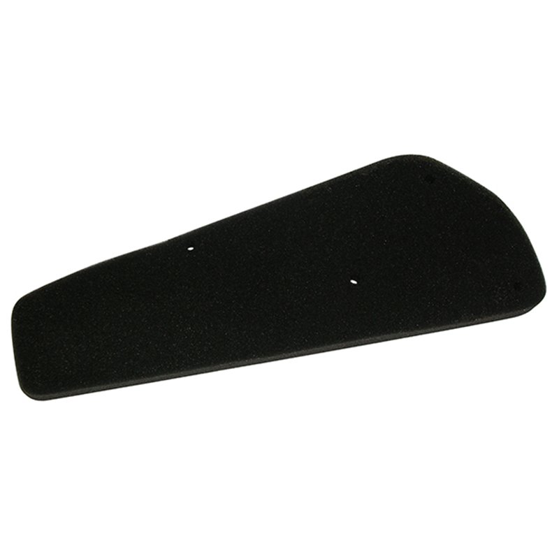 AIR FILTER RIEJU Pasero 4T 50 2007-2008