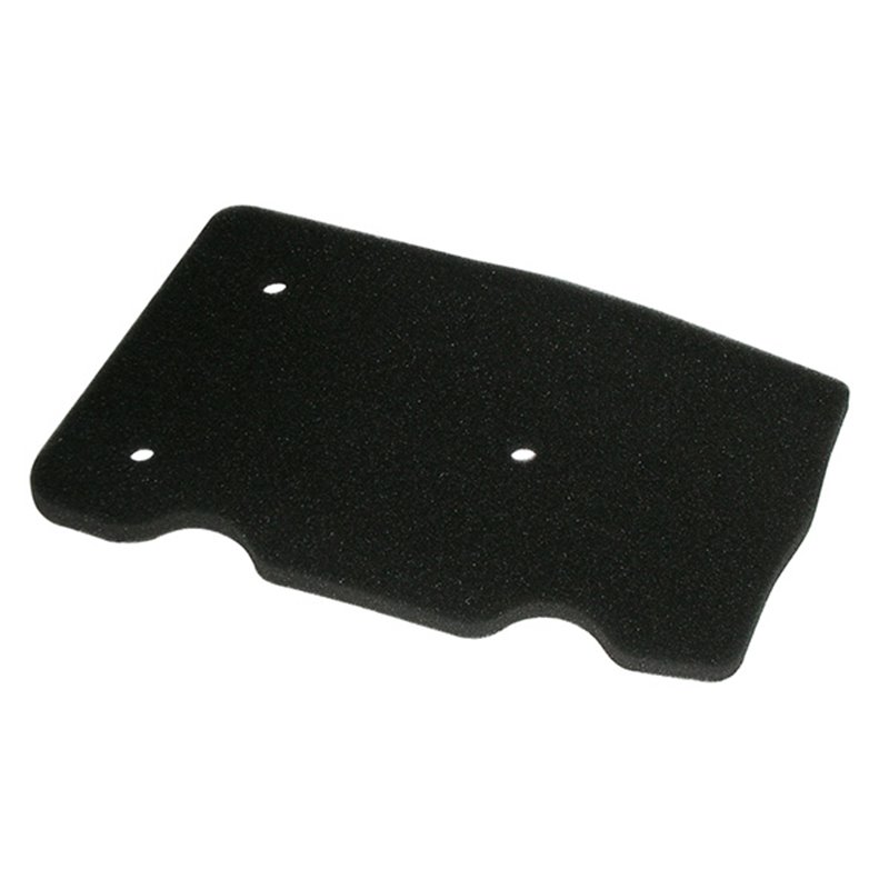 FILTRO DE AIRE MALAGUTI Ciak 50 1999-2002