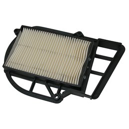 AIR FILTER MALAGUTI Password / Password E3 250 2005-2007