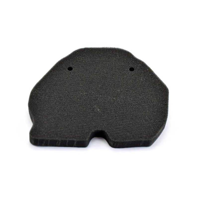 AIR FILTER BENELLI BN302 300 2014-2016