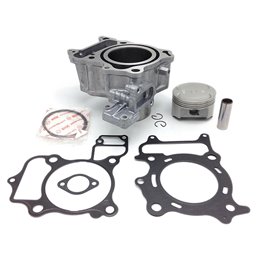 COMPLETE CYLINDER THERMAL GROUP HONDA SH 300 2011-2014