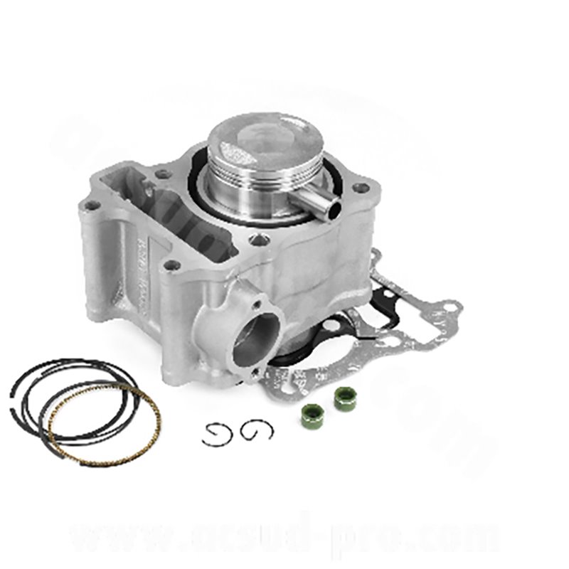 CILINDRO GRUPPO TERMICO COMPLETO HONDA FES Pantheon 150 2003-2006 CILINDRO GRUPPO TERMICO COMPLETO HONDA FES Pantheon 150 2003-2006