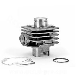 GROUPE THERMIQUE CYLINDRIQUE COMPLET APRILIA SR Motard 50 2012-2015