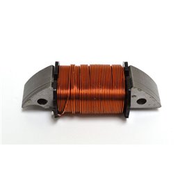 INTERNAL COIL SUZUKI DR Big 50 