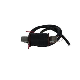 BOBINE INTERNE GARELLI Eureka 50 1978-1978