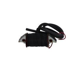 BOBINA INTERNA GARELLI Eureka 50 
