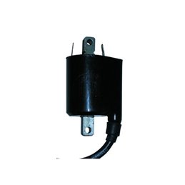 EXTERNAL AT COIL SYM Joy Max GTS 250 2006-2007