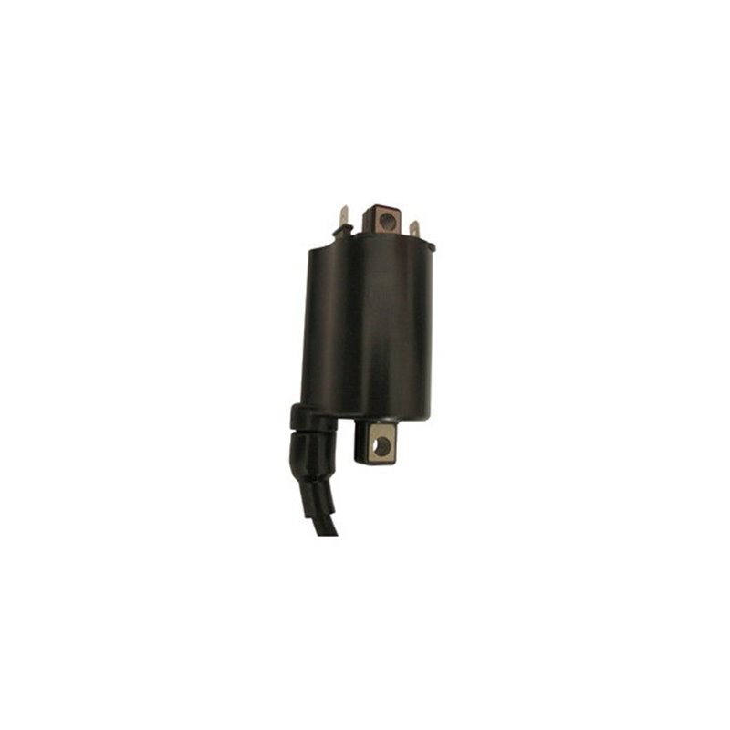 EXTERNAL AT COIL YAMAHA YZF R / YZF R ABS 125 2008-2013