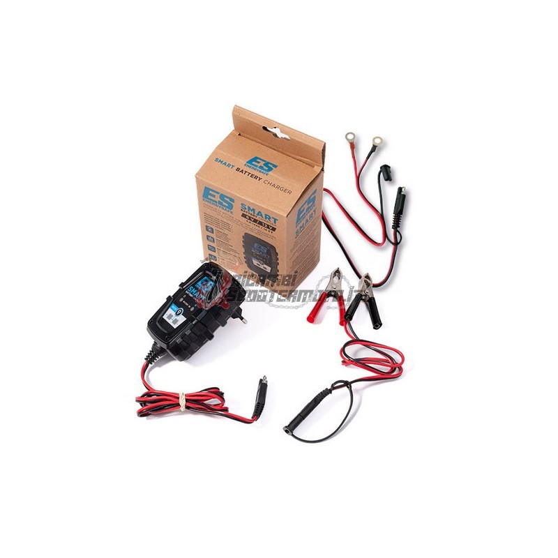 CARGADOR DE BATERÍA ENERGYSAFE 6V/12V SMART1 CARGADOR DE BATERÍA ENERGYSAFE 6V/12V SMART1