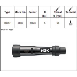 ATAQUE DE BUJÍAS NGK SB05F