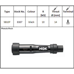 ATAQUE DE BUJÍAS NGK SB10F