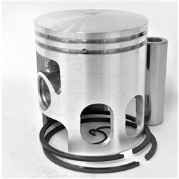 PISTON 47.49Emm FANTIC NEW CAB.RC  ALU.NIK.CYL 75 13x40 A