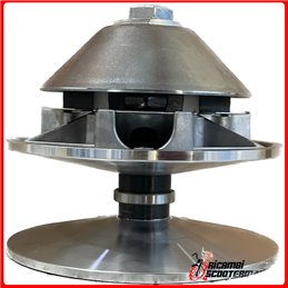 VARIATOR MOTORSEITE MASSE 190 GR Bellier Opale  