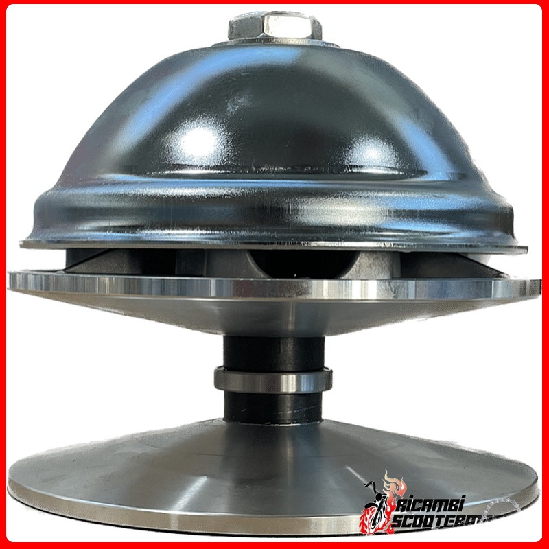 VARIATOR ENGINE SIDE MASS 250 GR MICROCAR F8