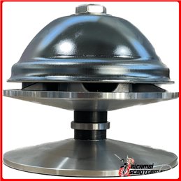 VARIATOR ENGINE SIDE MASS 250 GR LIGIER XTOO MAX DCI