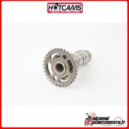 ÁRBOL DE LEVAS HOT CAMS Yamaha WR 250 F 2003-2014