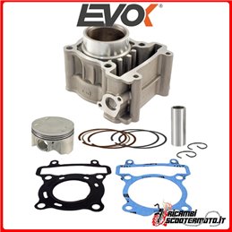 ZYLINDER THERMISCHE GRUPPE EVOK D.52 YAMAHA VP 125 X-CITY 2008-2011