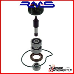 RMS WATER PUMP OVERHAUL KIT PIAGGIO BEVERLY TOURER EURO3 250 2007-2009