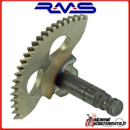 RMS Start-up Sector MBK YA R FORTE (CHE-ITA) 50 1994-1996