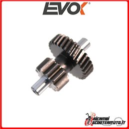 Engrenage Duplo rallongé z11 dents droites z29 EVOK PIAGGIO BRAVO 50 1975-1981