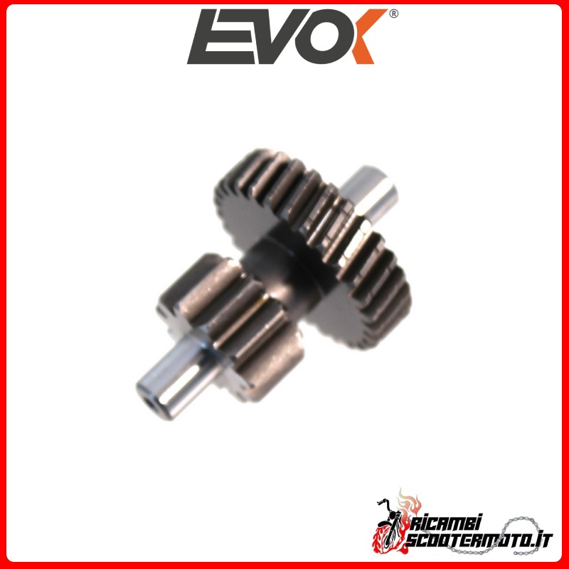 Engranaje Duplo extendido z11 dientes rectos z29 EVOK PIAGGIO BRAVO 50 1975-1981 Engranaje Duplo extendido z11 dientes rectos z29 EVOK PIAGGIO BRAVO 50 1975-1981