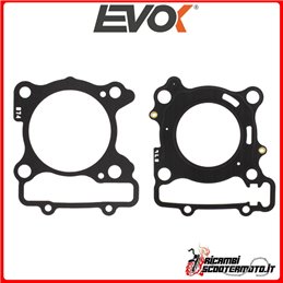 SELLO DE CILINDRO EVOK YAMAHA CZD300 A X-MAX 300 2017