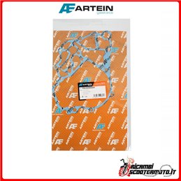 ARTEIN CENTRAL CRANKCASE SEAL PIAGGIO BEVERLY 250 2005-2007