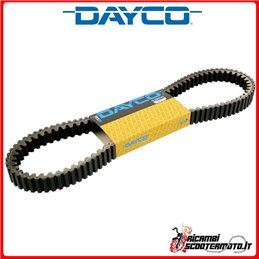 CORREA DE TRANSMISIÓN DAYCO DERBI GP1 250 2006-2007